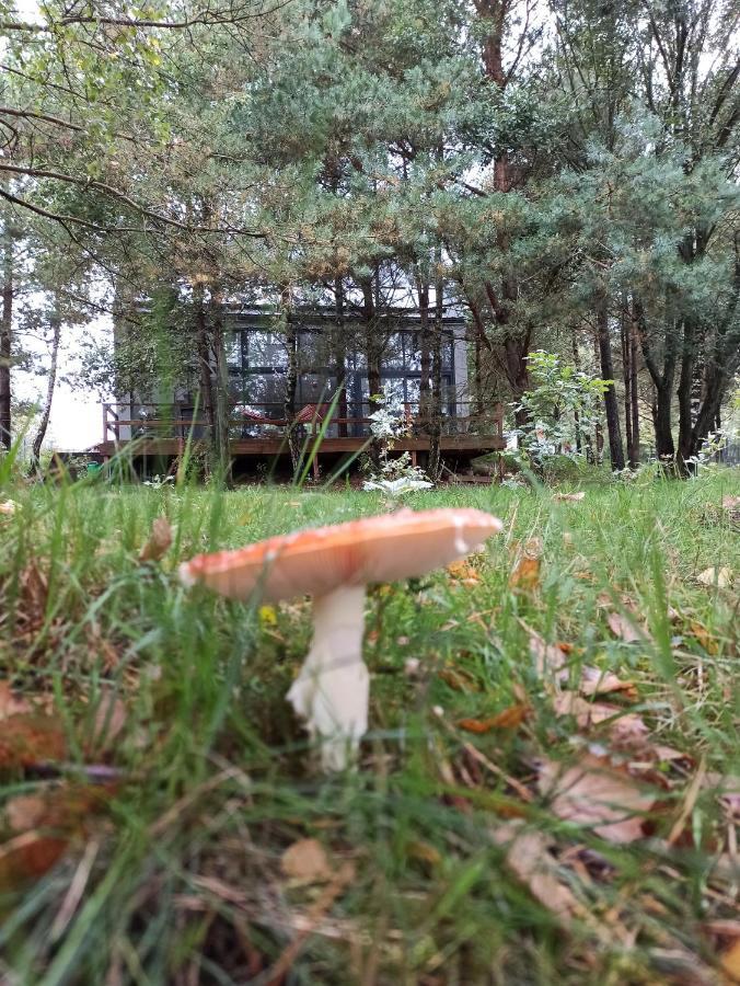 Luksusowy- Nowoczesny Dom W Lesie Villa Kowalewo Eksteriør bilde