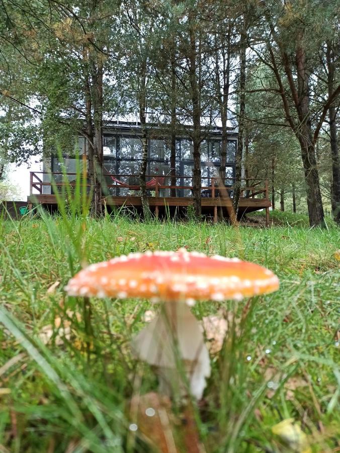 Luksusowy- Nowoczesny Dom W Lesie Villa Kowalewo Eksteriør bilde